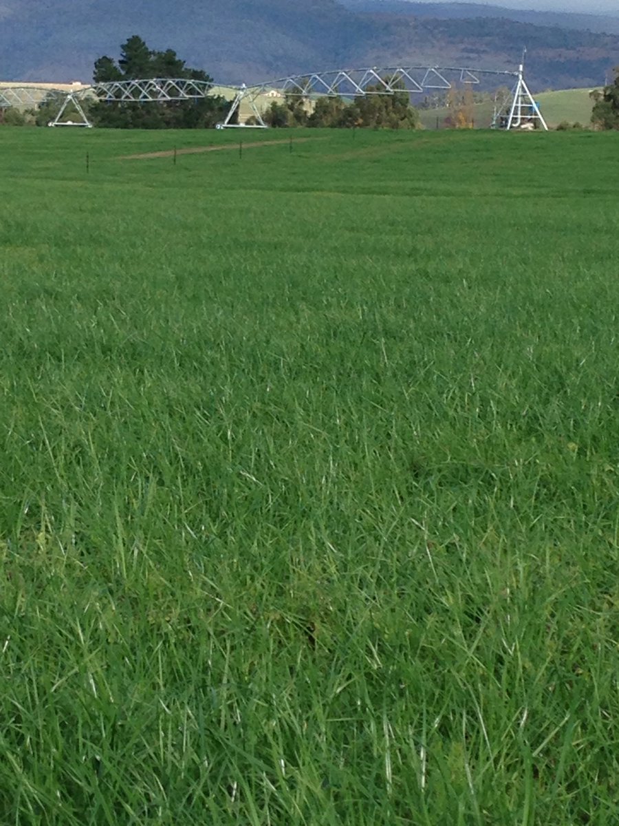 Ryan Ashby tweet media