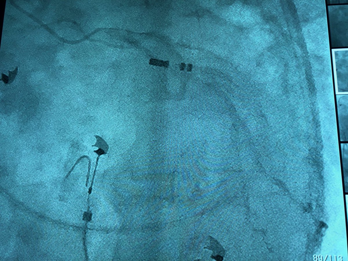 Kanwar Y. Singh tweet media