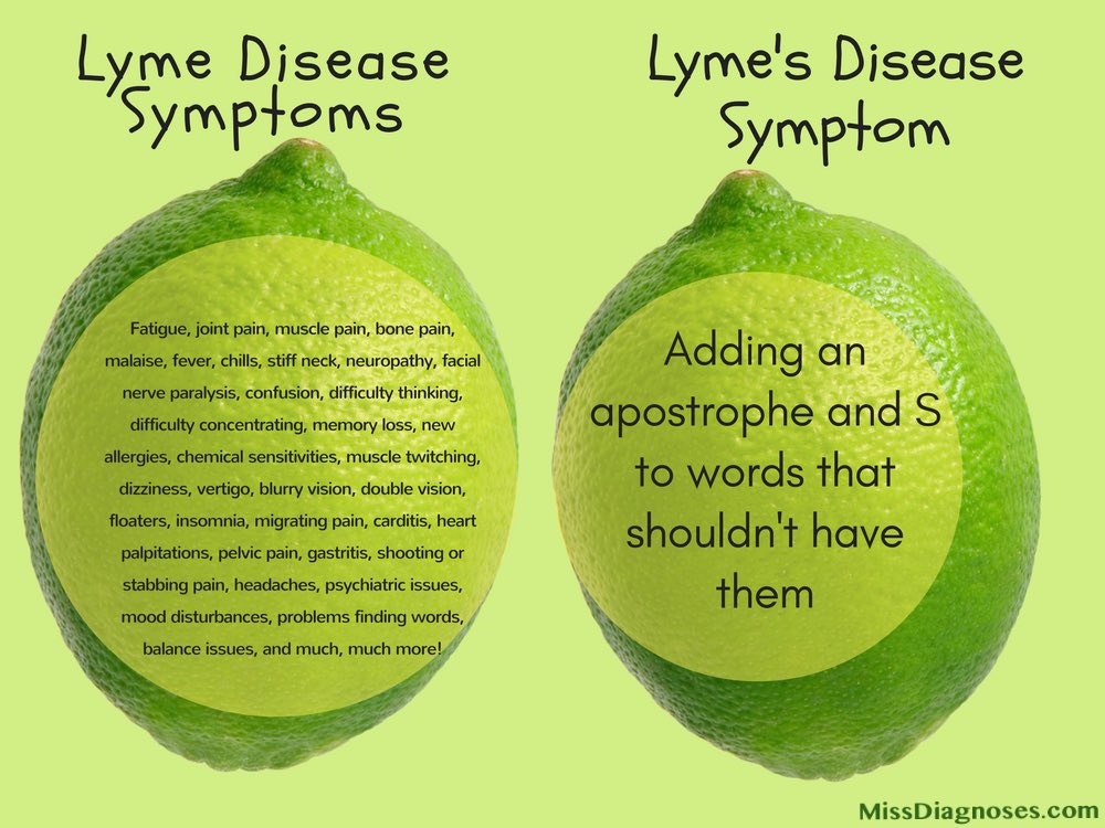 miss_diagnoses's tweet photo. Lyme’s... 🙄 https://t.co/4qU19frySH #FindACure4Lyme #LymeDiseaseAwarenessMonth #lymediseaseawareness #Lyme https://t.co/cJDnZYOmxV