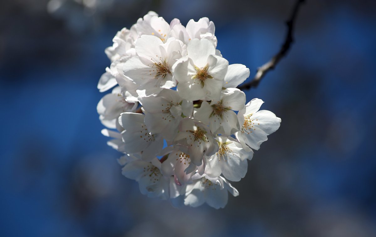 olga hutsul tweet media