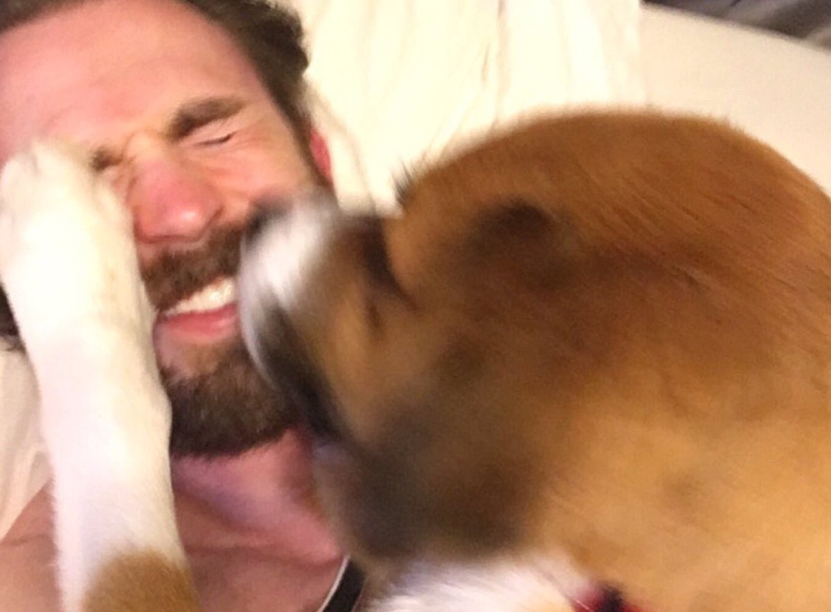 FUCKiNGORiON's tweet photo. @.dril: my dog approaches me, rolls over on its back, and i vomit all over its stomach. undoing 9 years of trust with this animal https://t.co/viFOK7b93v