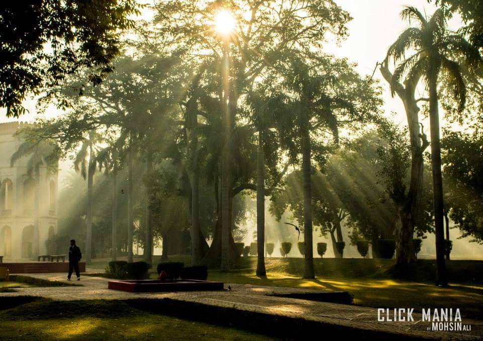 #Morningwalk at #BagheJinnah previously known as #LawrenceGarden a historical park in #Lahore 
Credits: facebook.com/Click.Maina09/
#BeautifulPakistan #Goodmorning and #RamazanMubarak