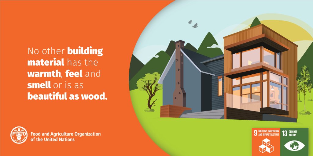FAOForestry's tweet image. No other building material has same warmth, feel &amp;amp; smell as wood or is as beautiful  #woodisgood #SDG9 #SDG13
