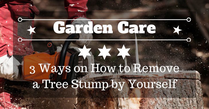 Ella Wilson tweet media