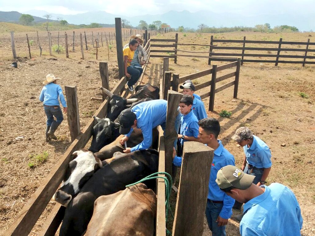 Paguaga_Nelson's tweet image. Continuamos fortaleciendo con capacidades vocacionales; buen suceso de ejecución del programa modular.
#ElSembrador
#ProgramaModular
#ComprometidosTransformarVidas
@deulloac 
@elsembradorhn