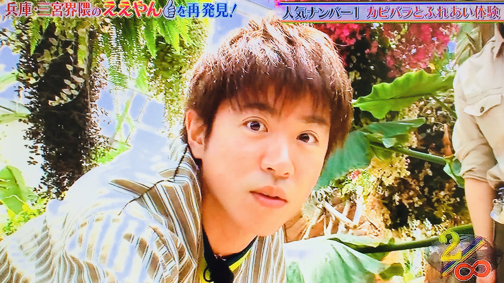 O Xrhsths ゆま Sto Twitter 村上くん カピバラに 顔似てるって言われる 丸ちゃん かわいいやん 村 せやろ 目くりっとしてるし 丸 自分で言うな 笑 今年の村上くんは綺麗な二重とくり