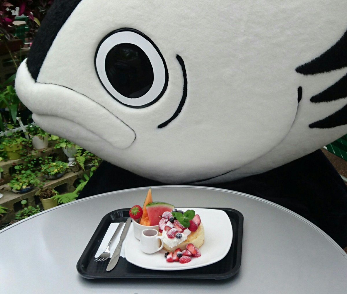 カツオ人間 昨日のクイズの答えは 西島園芸団地でいちごとブルーベリーの手造りパンケーキが出てくるがを待ちゆう でした ほんでよ 正解した人がひっとりだけおったで それは 浜口恵子ちゃん ご褒美に今度会うた時ベリーホットなハグしちゃおきね