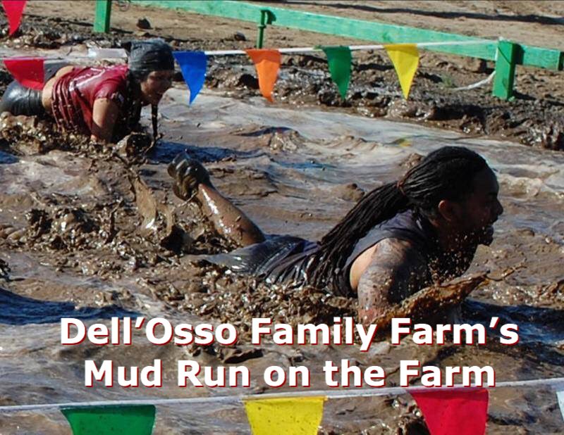 OnYourMarkEvent's tweet photo. Are you ready for this Saturday?!!! The annual Dell'Osso Family Farms' Mud Run on the Farm 5K, Sat, May 19.
https://t.co/9m2DkVFrlm @dellossofarm #mudrunners #mudrun #mudrun5k #running #obstaclecourse #lathrop #lathropca #StocktonCA @visitstockton @stocktonevents @stocktonca https://t.co/rfdvPki57r