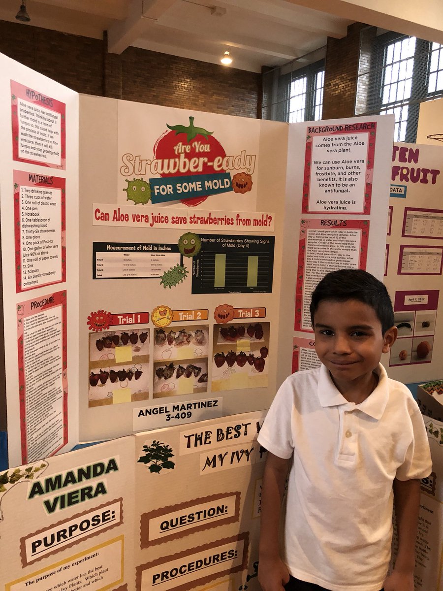 #sciencefair18 #soproud #terrariums #moldystrawberries #phlevels #andmore Students Prek-5 presented their projects and experiments today! @PS212PTA @D21_Community @NYCSchools @DOEChancellor @BKSOUTHCOUNSEL @NIABrooklyn @AAPinNYC @CSABKLYN @UFT @UFT_Elementary @BKSouthClimate