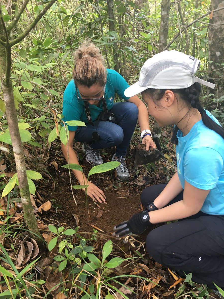colinvdr's tweet photo. Costa Rica day 5! Learning about strategic reforestation @childrenseternalrainforest, got our hands dirty planting trees and helping prepare soil. Soccer match with some new friends and lightning show before dinner. #mulgravecr https://t.co/D0pwrfDZnv