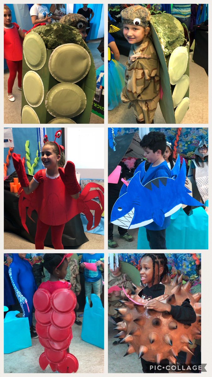 Jenniedteach's tweet photo. @AirBaseK8 second students exhibit and present researched information on ocean animals &amp; the effects of pollutions in our oceans.@Dream_in_Green @HannahHpurcell @carvalhogibson #recycleprojects #treasuresofkeywest https://t.co/eTweey9gQ2