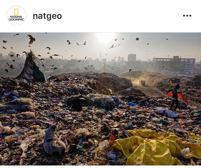 Vieron las fotos que subió NatGeo a Instagram? Tamos perdidos