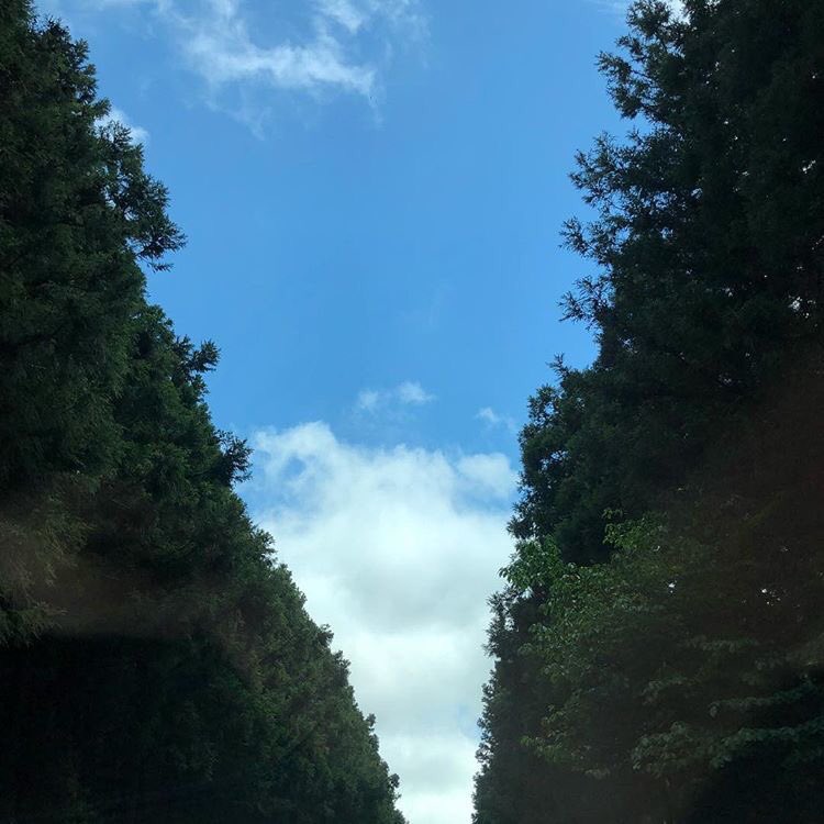 knockknock0408's tweet photo. SEHUN ins https://t.co/EIrHeNAB2q