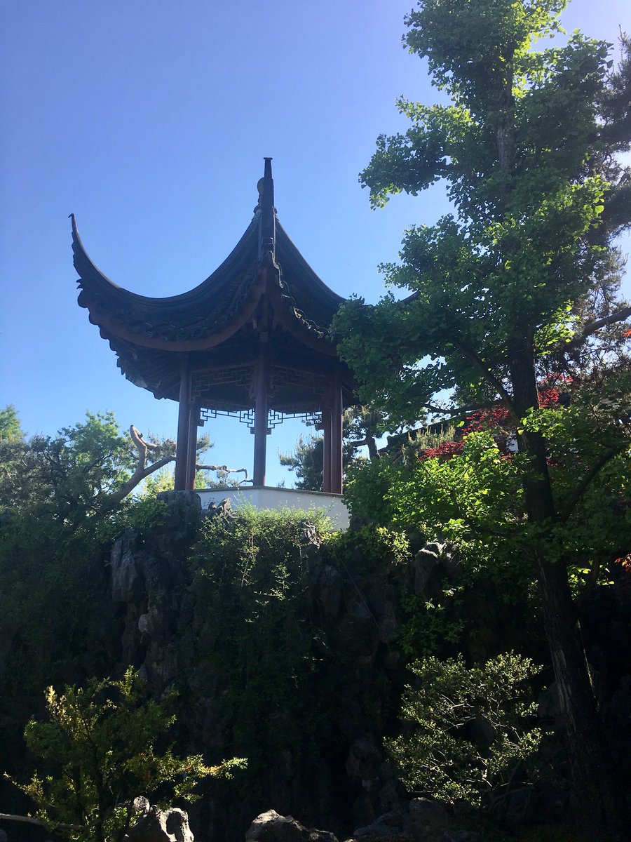 Beautiful Spring calm at the Garden #ChinatownYVR #BeyondPender #ChineseCanadian @vangarden @HeritageVan