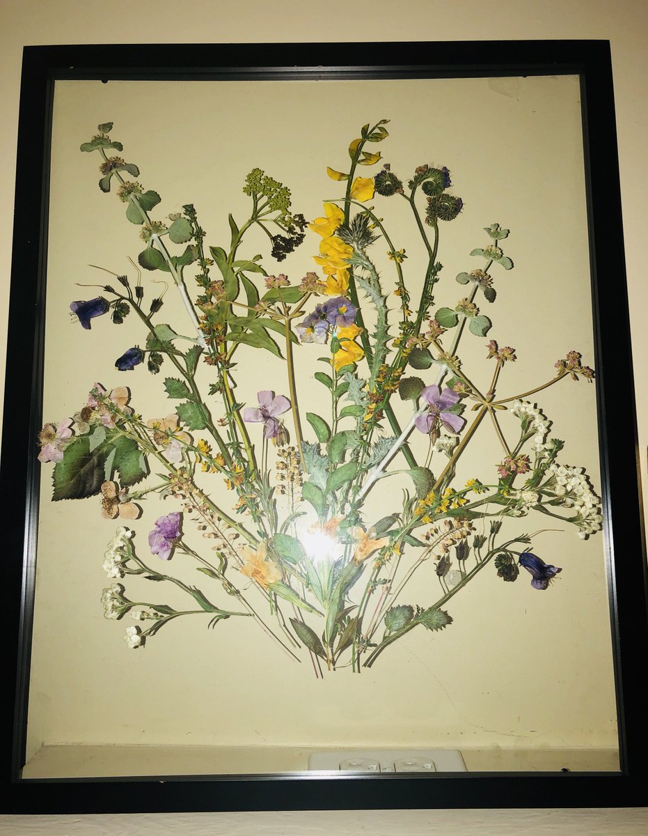 KimRhode's tweet photo. When I went hiking today I picked a few #wildflowers on my ranch to try my hand with the #MicroFleur flower press! It was easy, quick, and alot of fun to create this bouquet! #hike #getoutdoors #getcreative @USAShooting @Beretta_USA @winchester @TeamUSA @ISSF_Shooting https://t.co/8OFPLPnnfS