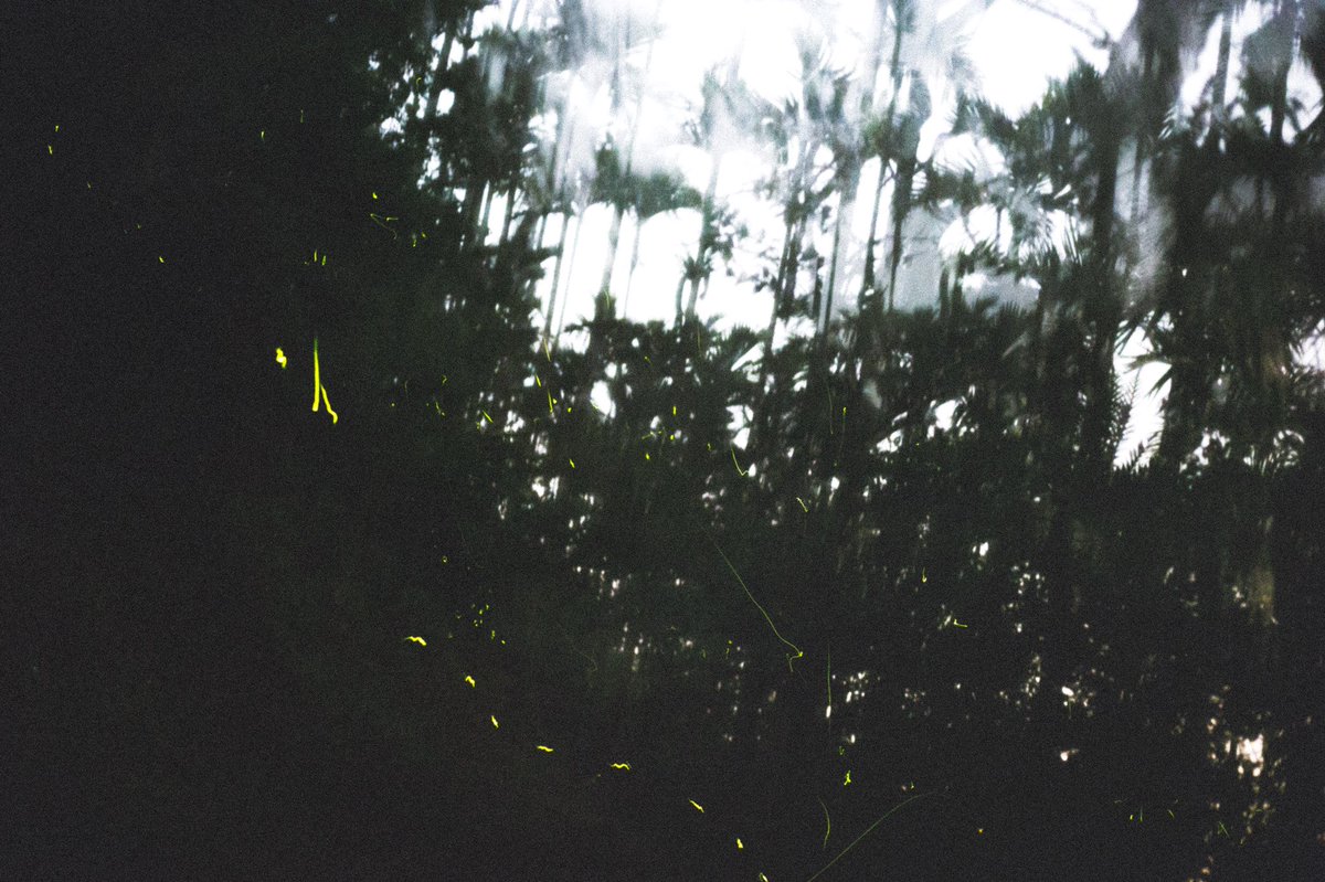 yukimarvellous's tweet photo. #photography https://t.co/HbRL3GcQnz