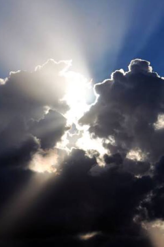 reneengamau's tweet image. There is no hate. There is only an illusion of an absence of Love. No hateful thought or action is so great, it can permanently banish love. But there is love so great, it can overcome hate. Love wins when we awake from the illusion. #ACIMiracles Pic courtesy of. #Devianarts