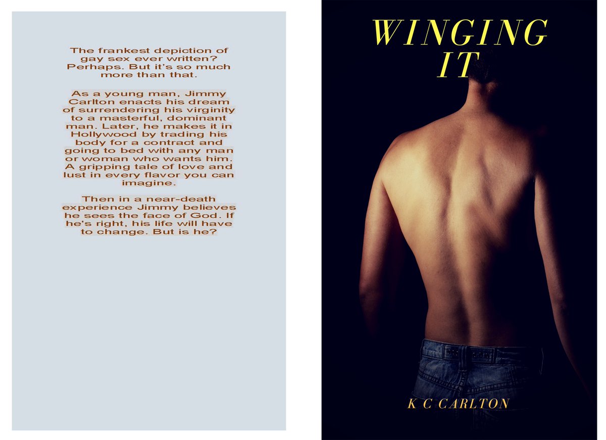 MandrillPress's tweet photo. God’s hand is still outstretched to all. Take it today. Winging It https://t.co/zQQhl7UeHt  #fwrt #Christianromance #lgbt https://t.co/Rxq0iPZP0g