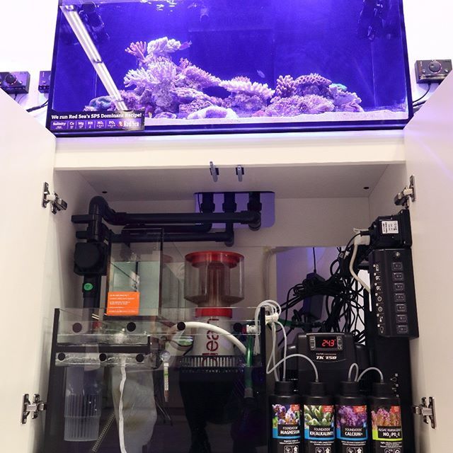 時間指定不可】 RedSea Reefer250用特注濾過層サンプロールフィルター
