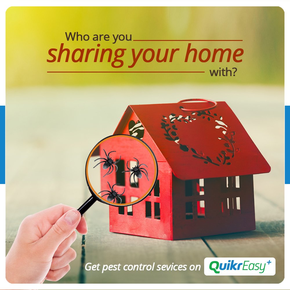 QuikrEasy's tweet photo. Free your house of unwanted habitants with Pest Control Services, only on #QuikrEasy+
#PestControl 
https://t.co/VJlfWNgROb https://t.co/NfCqfl7qw5