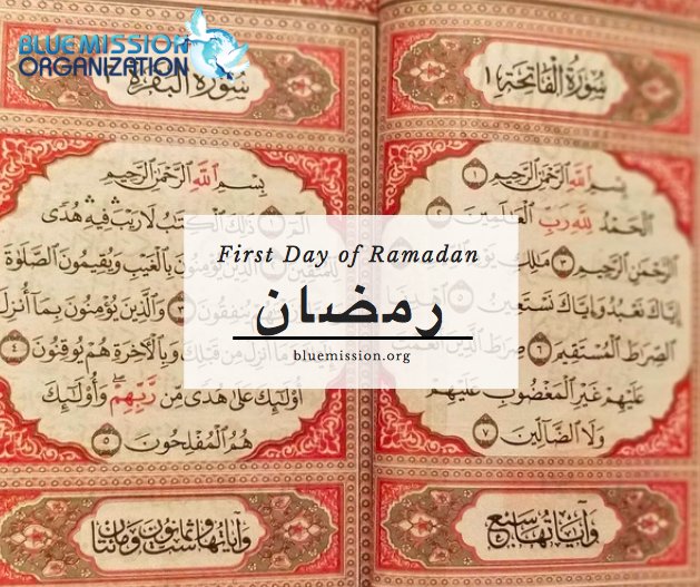 Blue Mission Organization tweet media