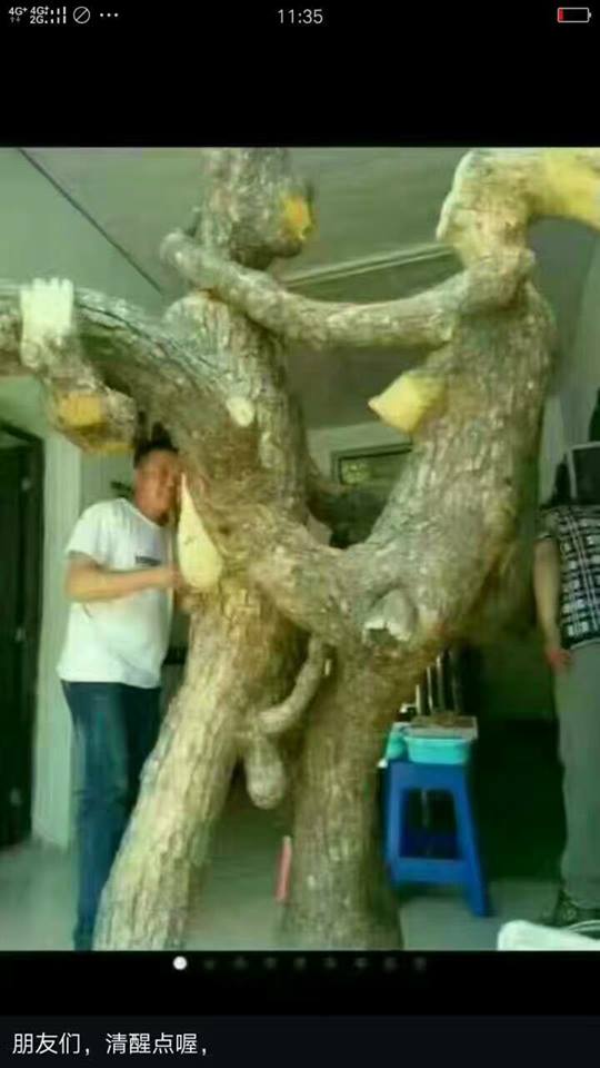 cay_micay's tweet photo. kì diệu https://t.co/O3jlEnrTwG