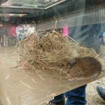 Photo by SCPS Year 4 (@Year4SCPS)