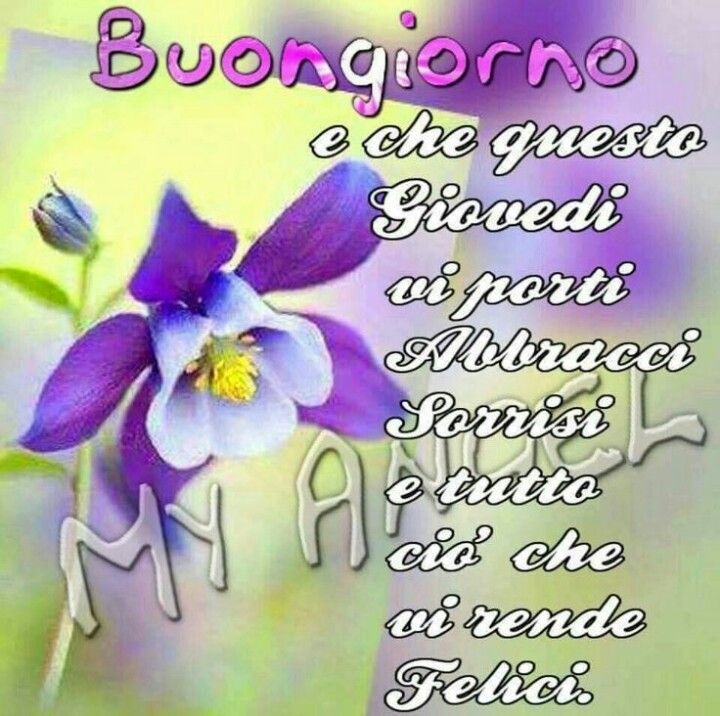 Deriu Mariaregina Twitterissa Grazie Mille Carissima Amica Mia Per Gli Auguri Di Buon Compleanno Sono Sempre Ben Accetti Buongiorno Carmen Un Abbraccio Forte Anche A Te T Co Mtjbadstea