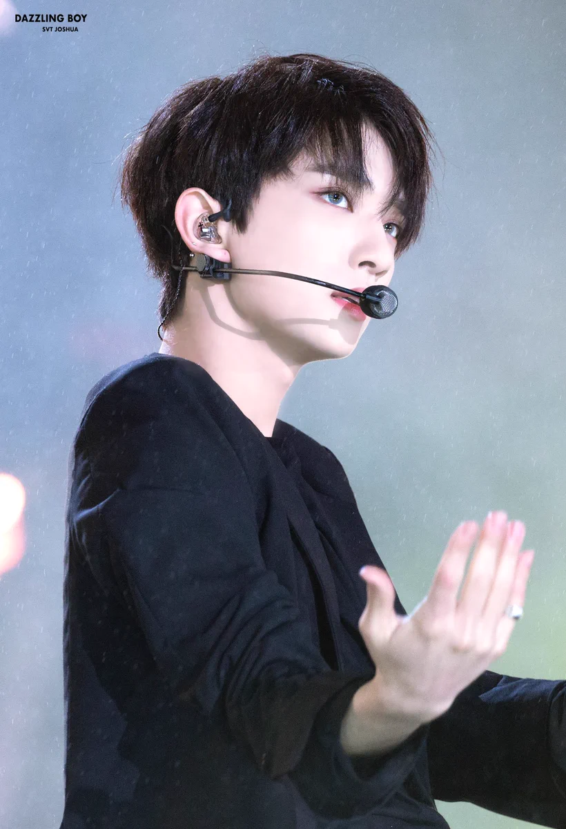ADORING SEVENTEEN~♡ on X: 