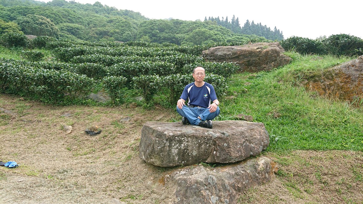 twmayzest's tweet photo. Meditating on the rock, surrounded by #Taiwan #tea garden. #tea #teagarden #rubyblacktea #ruby18 https://t.co/tIceNvOa8p