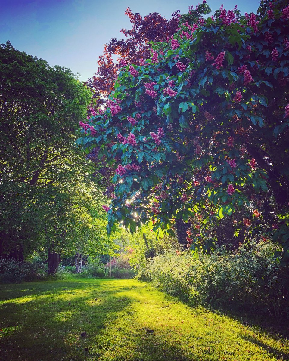 Good morning! Just love May.