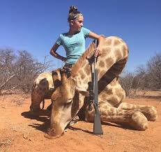 BellaLack's tweet photo. This is Aryanna Gourdin.
She says that she enjoys #TrophyHunting and therefore has ‘a right’ to slaughter this magnificent and precious creature.

What makes it even worse; most of the animals she kills have probably been on earth longer than her. She’s TWELVE! 
@rickygervais https://t.co/uu0ocLUpUK