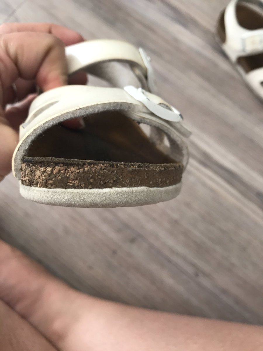 sophie bird tweet media