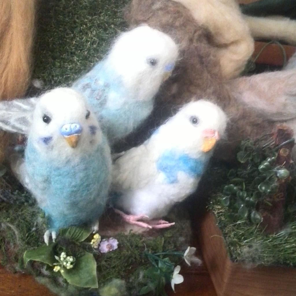 インコちゃん♪( 〃▽〃)
がんばるぞ～✨
#セキセイインコ#羊毛フェルトインコ#パイド#幸せの青い鳥#鳥好きさんと繋がりたい#羊毛フェルト作品#オーダーメイド