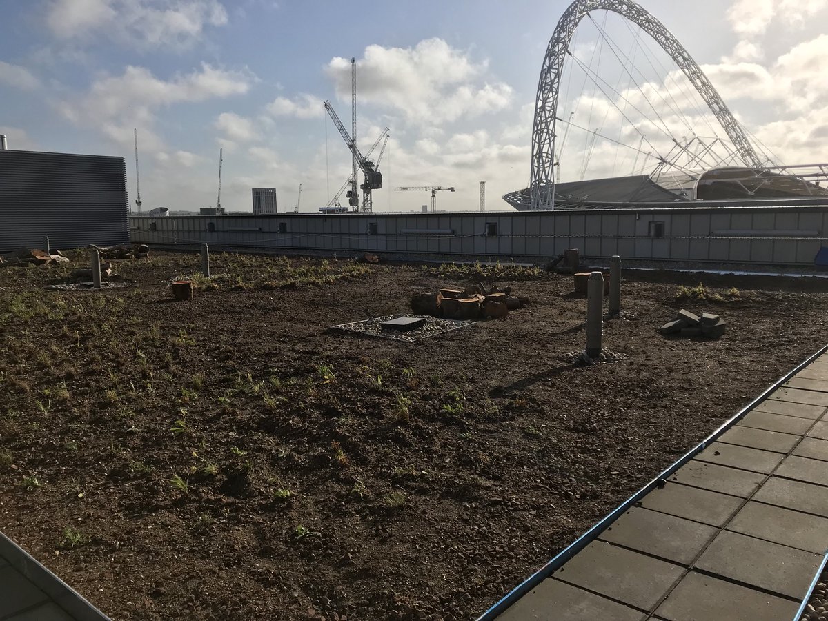 UrbanGreenArti1's tweet photo. Nature’s new home 🏡 next to the iconic Wembley Stadium 🐞🐞🐞🐞🐞🐞🐝🐝🐝🐝🐝🐝🍀🍀🍀🍀🍀🦋🦋🦋🦋🦋🦋 @alwitra @ICB_Projects @seed_ball @Wraxalls @ https://t.co/xZZHc5j6t5