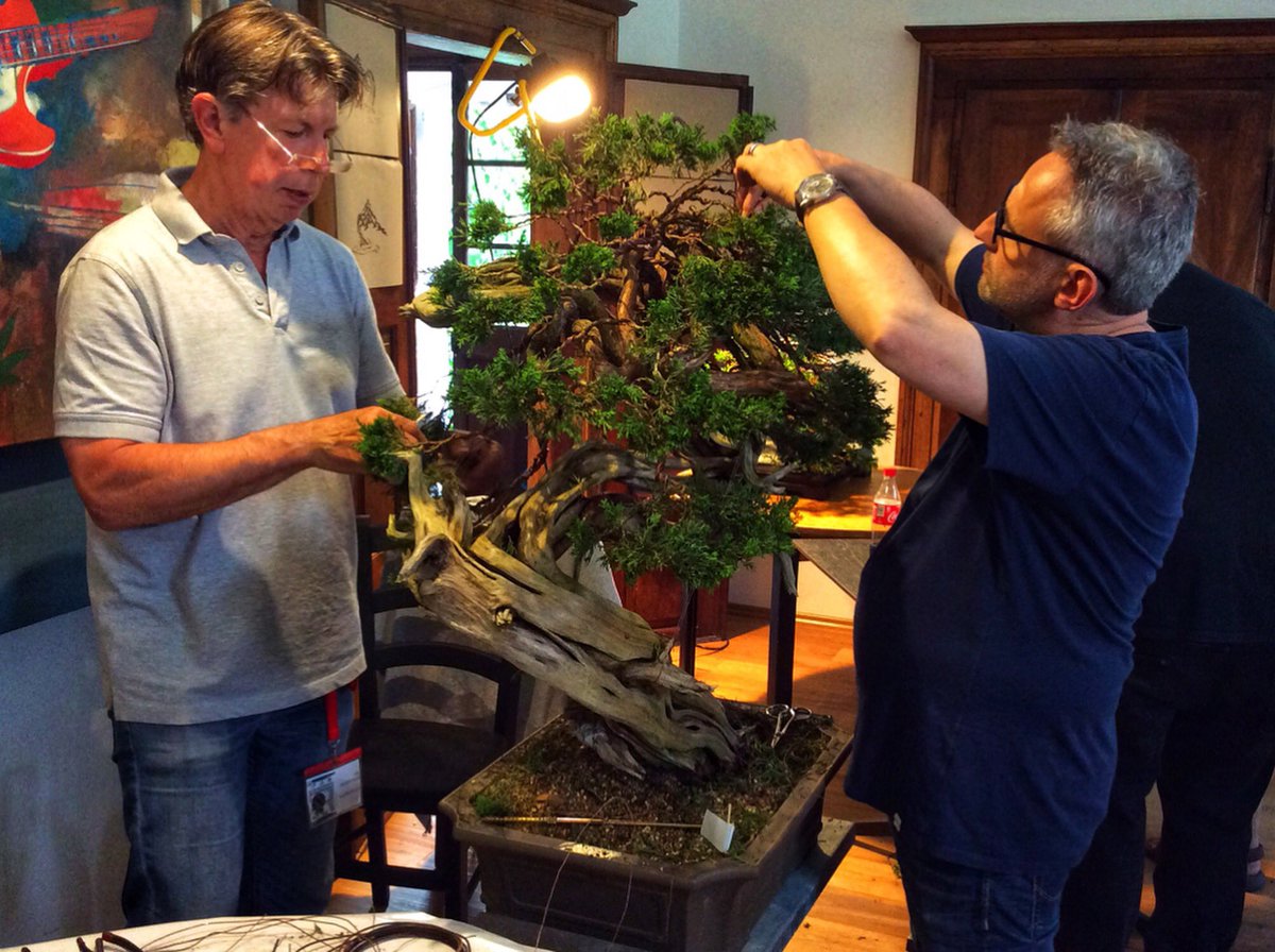 Billybaker52's tweet photo. A few of the fantastic demonstrations at #Arcobonsai this year. Artists working on #junipers Read more about it in my latest #blog. Link in my bio #Bonsai #italianbonsai https://t.co/vcJ6bKvwQG