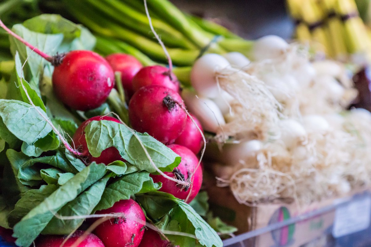 SimplyFreshNW10's tweet photo. Radishes are beautifully seasonal and give a fantastic bite to any salad. Any recipe recommendations? 💚 https://t.co/uRDDQR7vO9