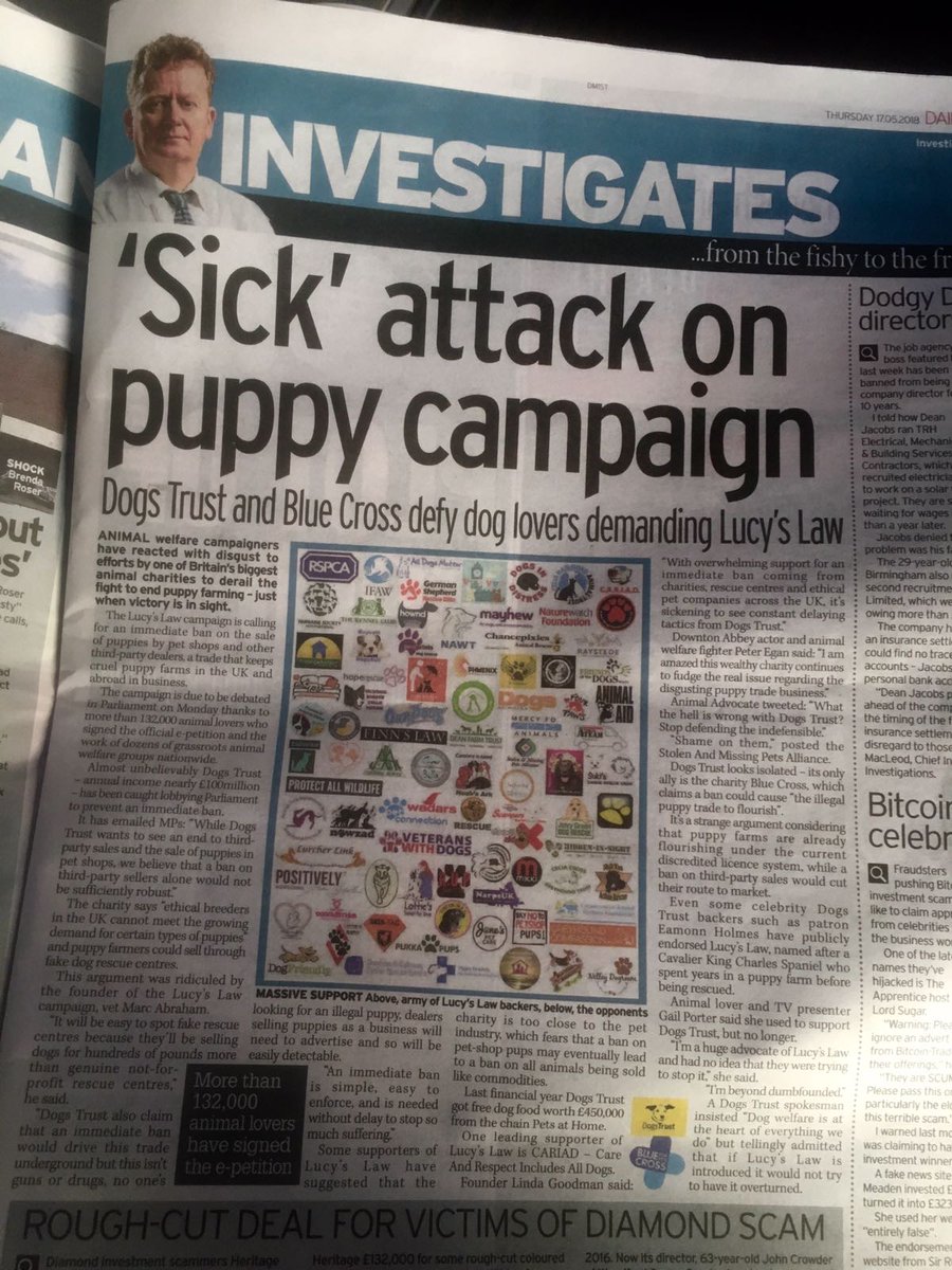 Praying <a href="/DogsTrust/">Dogs Trust 💛🐶</a> join majority of animal welfare charities/campaigns &amp; support #lucyslaw #rightsideofhistory 🙏