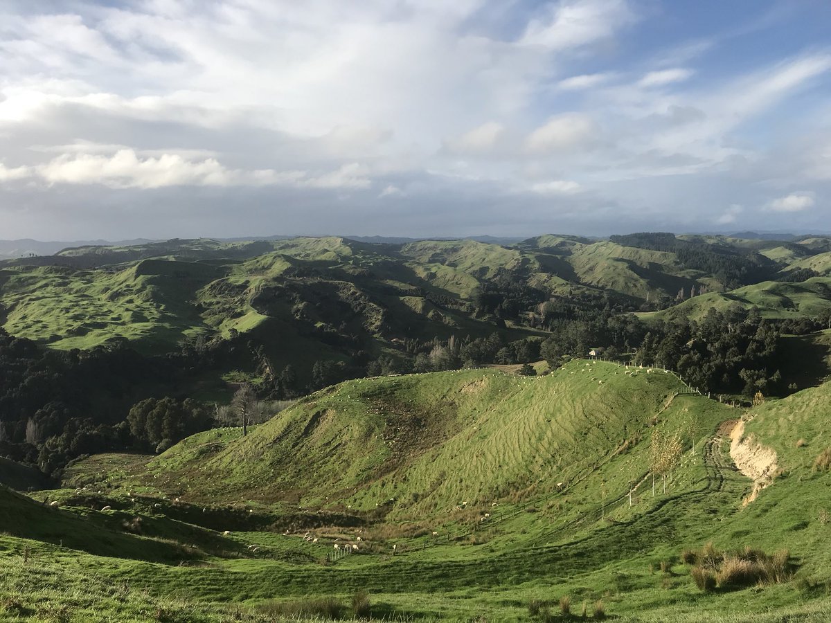 MorrisonFarming's tweet photo. The dairy industry is a vital part of NZ beef production. It was great to be able to share the launch of our new @NZBeefLamb Environment Strategy with @duncan_coull & @TiroroaFarmsLtd https://t.co/aWQpgdqYuu https://t.co/zQSvVbPG93