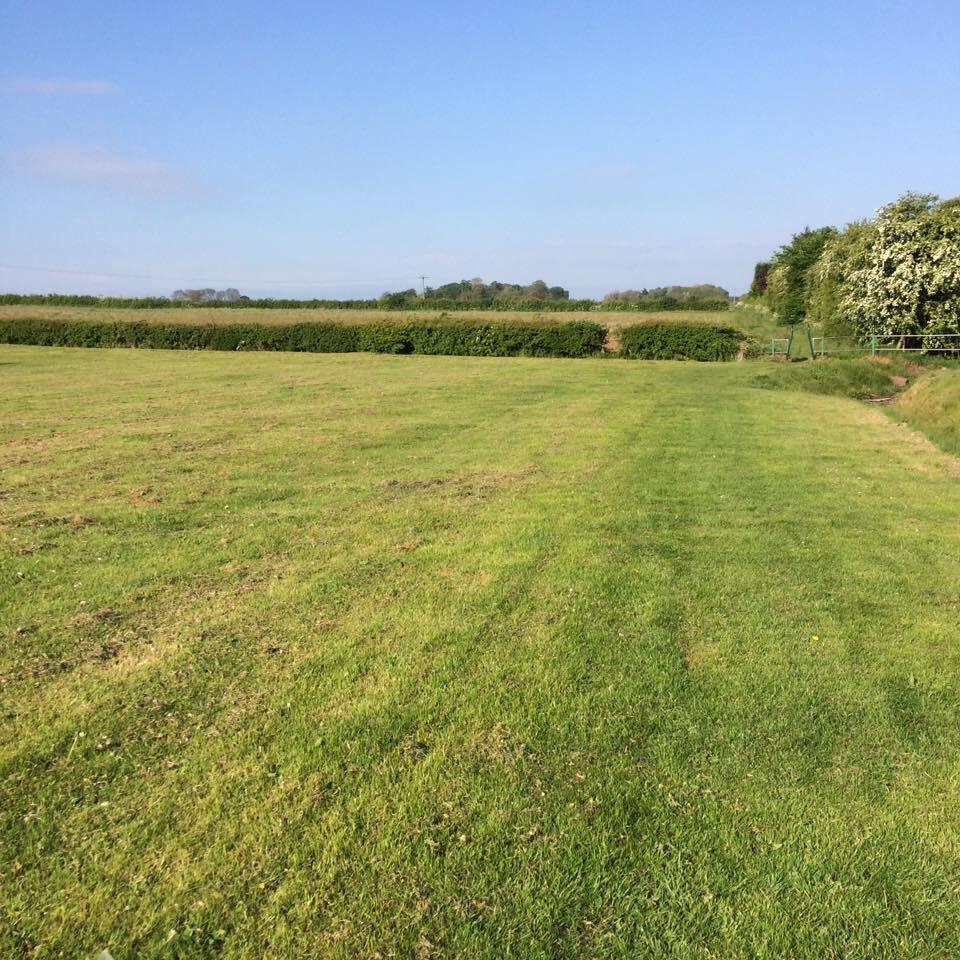 Upton420Upton's tweet image. #OTcomm green space with my best furry friend 🐶