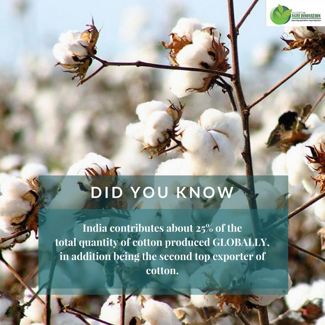 орацио нельсон 2009