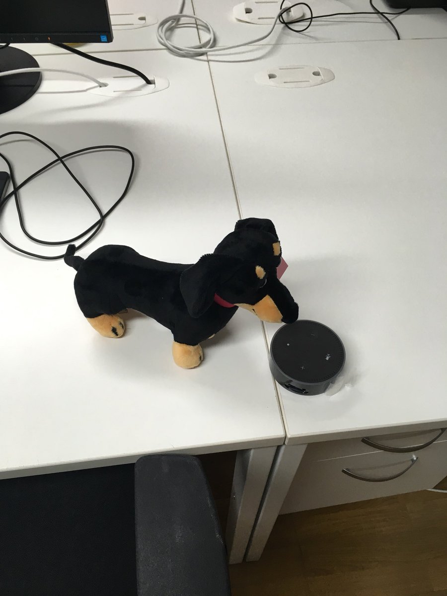 AndrewEmbling's tweet photo. Stanley’s asking Alexa for a Vitality tip this morning #stanleyatwork https://t.co/ECxyeVavqc