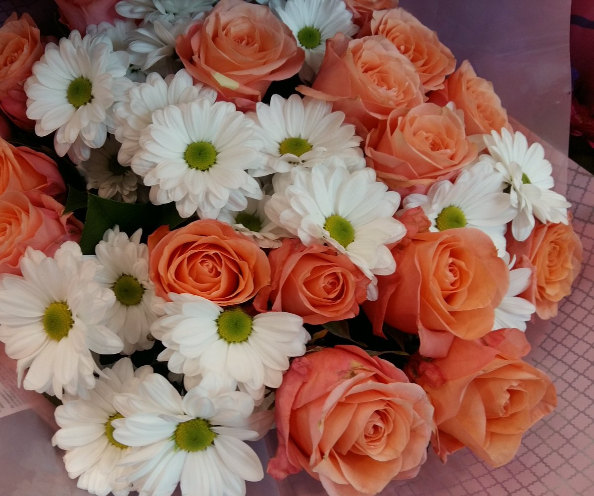 Sasa Elisabethlapenn Joyeux Anniversaire Que Ta Journee Soit Douce Bisous Sasa Sasa Elisabethlapenn Joyeux Anniversaire Que Ta Journee Soit Douce Bisous Sasa