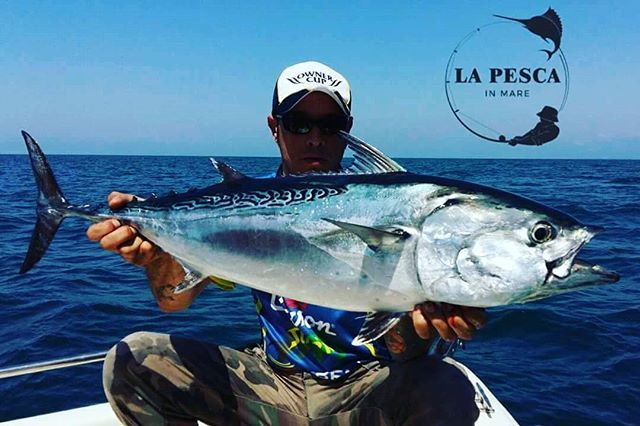 Lapescainmare's tweet photo. Quanto pesa l'alletterato di Samuele? Giocate con noi sulla nostra pagina Facebook .
.
.
#italy #toscana #tirreneansea #carsonfishing #mare #sea #relax #enjoy #sun #fish #saltwaterfishing #saltwater #tuna #tonno #pescadallabarca #spinning #istafishingโฆ https://t.co/D6fsFlkFbg https://t.co/ebpzKTxJ1l
