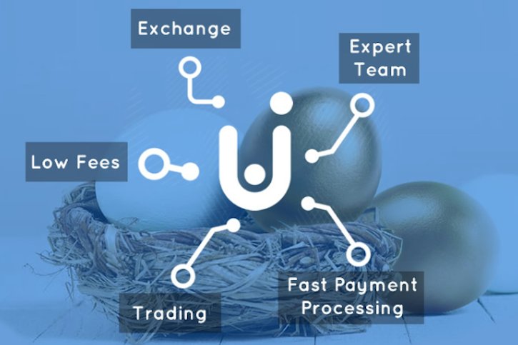 Hasil gambar untuk kubitx