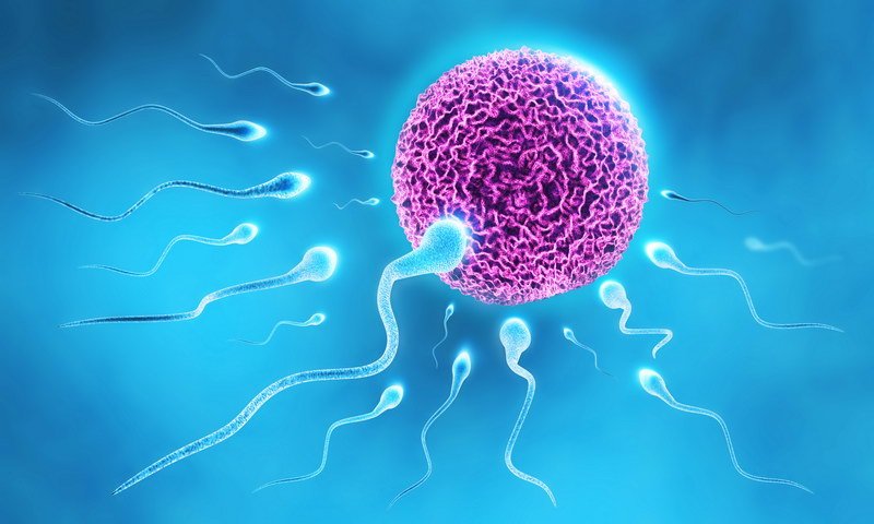 Prolargentsize1's tweet photo. #DekhoChhattisgarhSeekhoVikasHOW TO IMRPOVE SPERM QUALITY https://t.co/bT9EjYKKUv ๐ #BSYNammaCM #UmeedseZyaada #UnconstitutionalCMYeddy #BSYeddyurappa #FelizJueves #TBT #MargaritaEnTercerGrado #DiaDeInternet #PROLARGENTSIZE #ThursdayThoughts #brazzers #sinstv https://t.co/KJOqWTQEqW