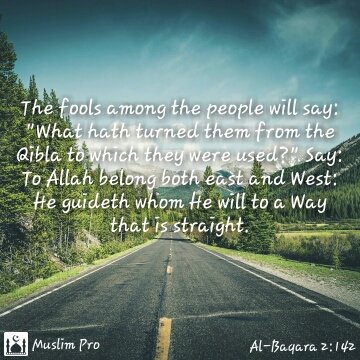 gemuhammad47's tweet image. get.muslimpro.com #muslimpro