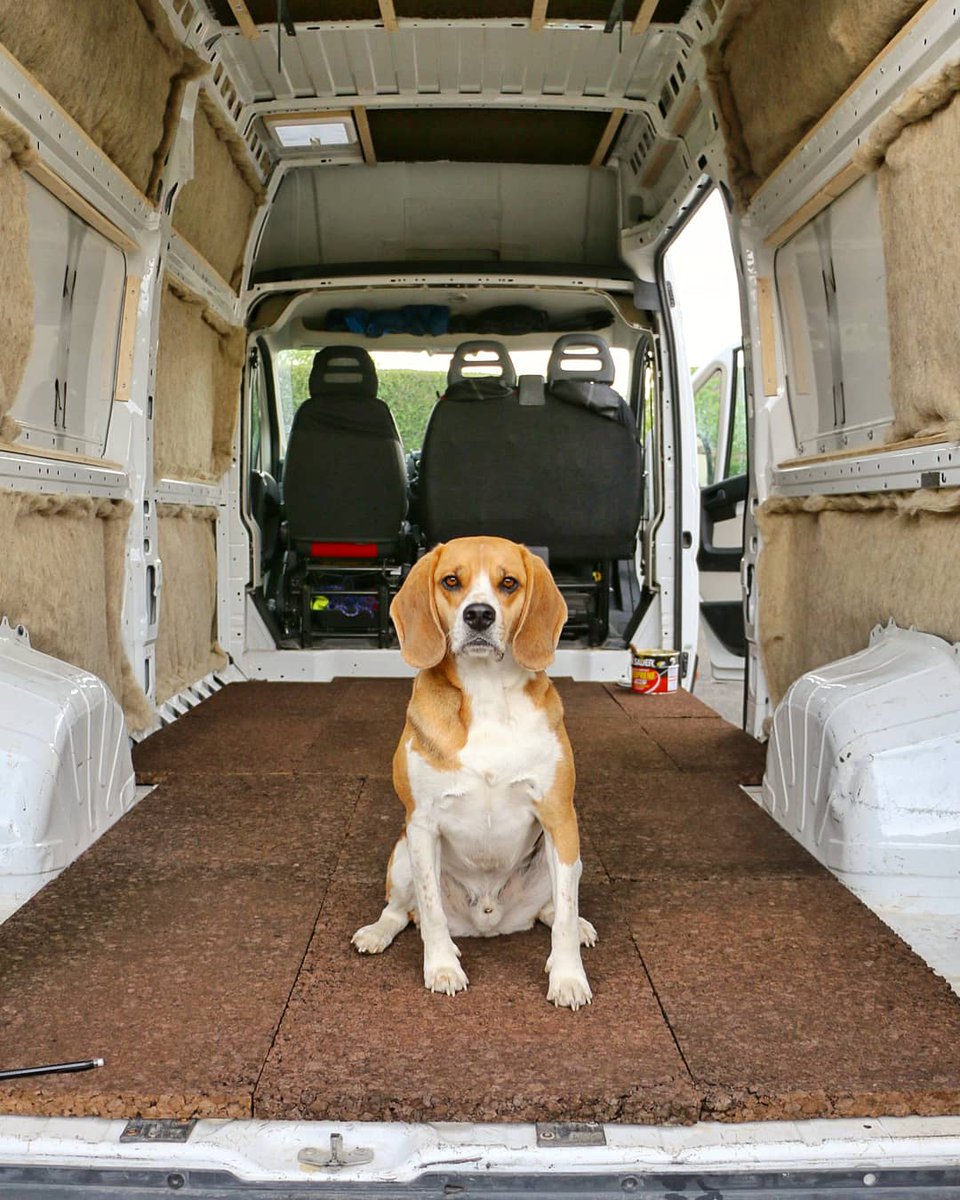 threevanlifers's tweet image. Bidule vous partage nos avancées du jour :
▶ Isolation commencée avec les panneaux de liège pur expensé et la laine de mouton (matériaux 100% #naturels ♻)
▶ Installation de tiges filetées pour préparer la mise en place de meubles hauts

#amenagementfourgon #ecologique