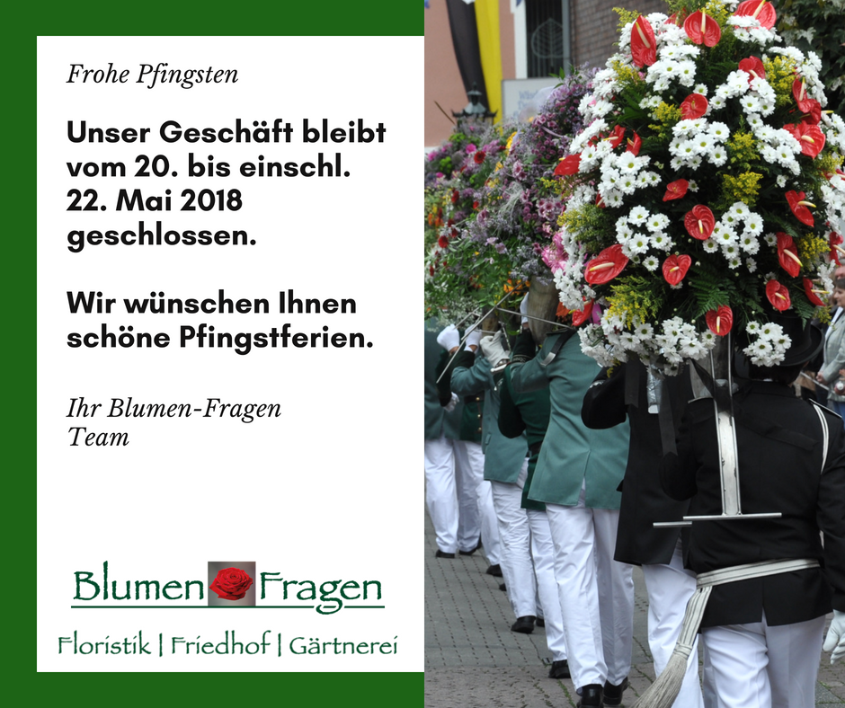 blumenfragen's tweet photo. Unser Geschäft bleibt vom 20. bis einschl. 22. Mai 2018 geschlossen. Wir wünschen Ihnen schöne Pfingstferien und frohe Pfingsten. Ihr Blumen-Fragen Team https://t.co/lnHq4uYYva