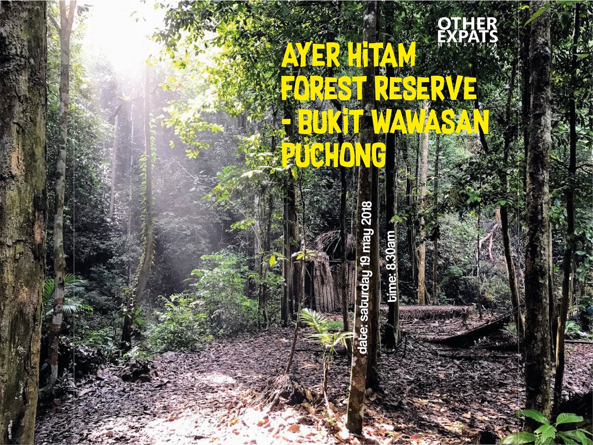 Who's up for a #hike? Ayer Hitam Forest Reserve on #Saturday 19 May. We start at 8.30am. Bring water, wear comfy shoes and be ready to sweat. A lot #otherexpats #hiking #outdoors #kualalumpur #puchongwawasan #ayerhitam #ayerhitamforestreserve #thingstodoinkl #expats #expatslife